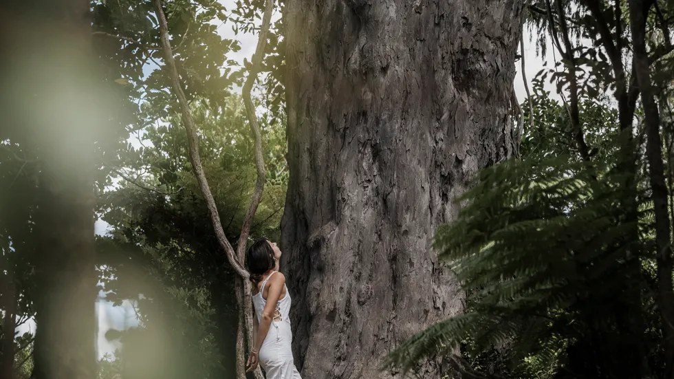Furneaux Lodge wedding venue