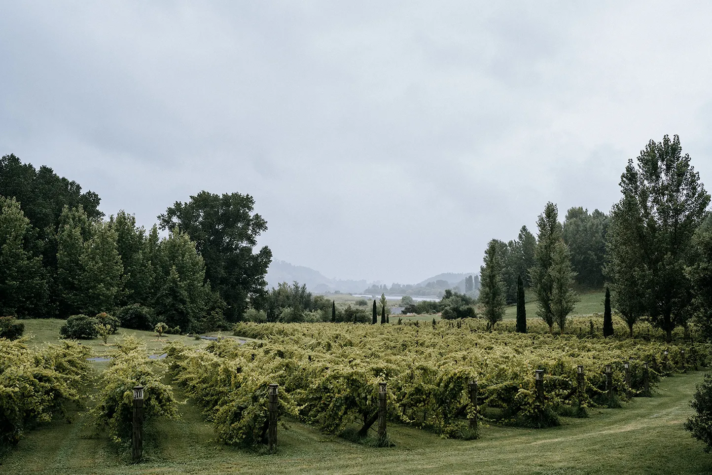 The River House wedding venue