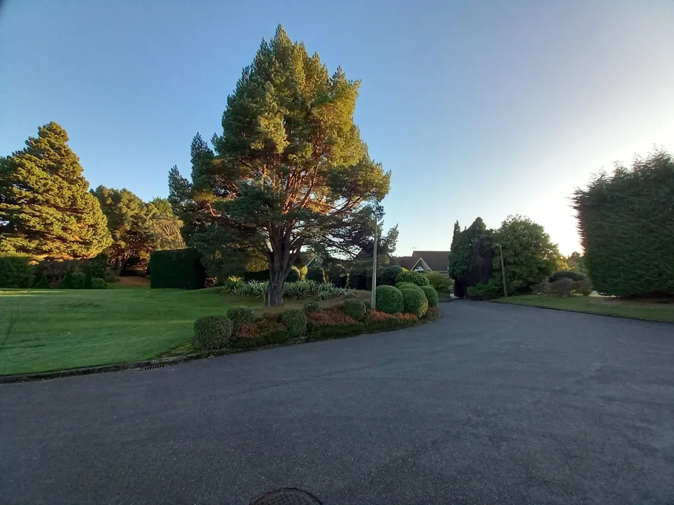 Ascot Park Hotel wedding venue