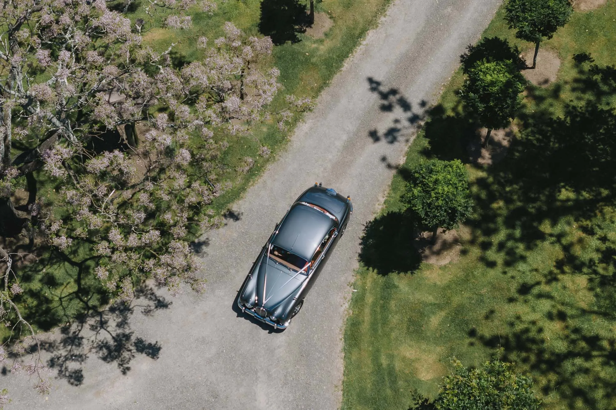Black Walnut Venue wedding venue, Bay of Plenty