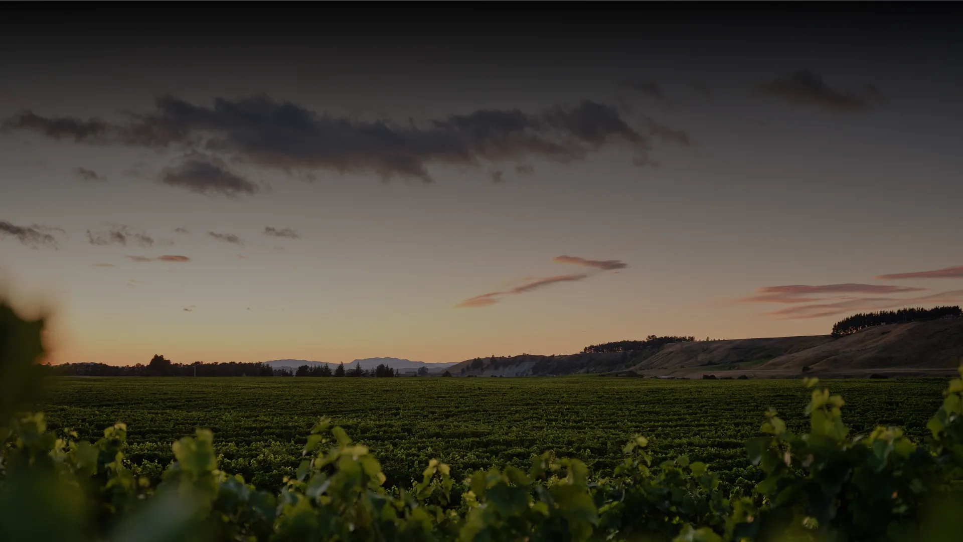Church Road Winery wedding venue