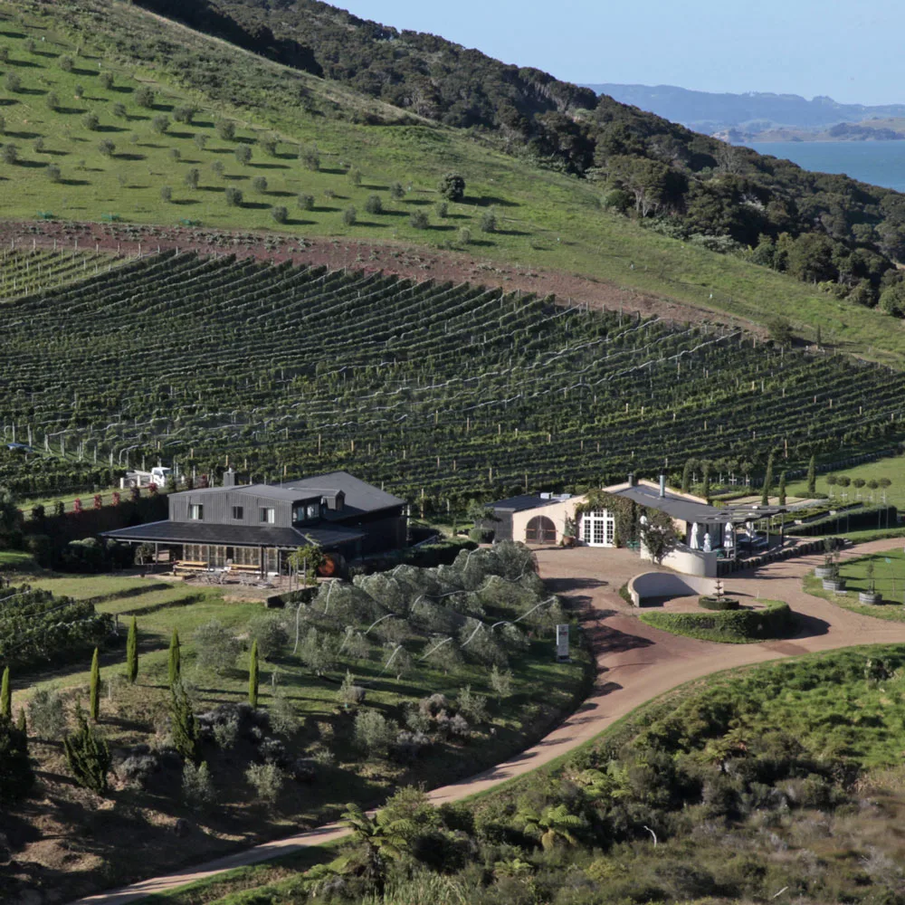 Poderi Crisci wedding venue