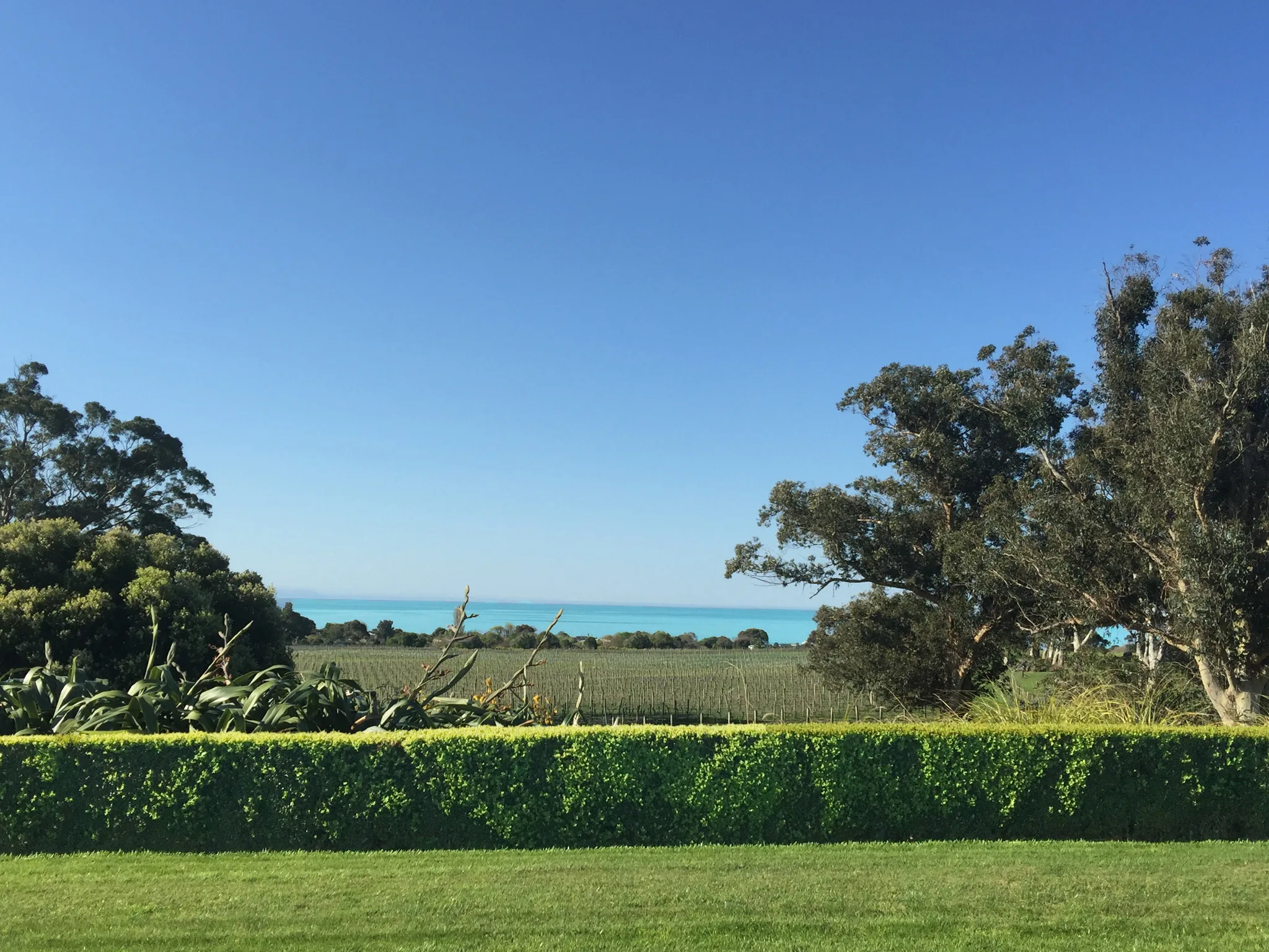 Cape Estate wedding venue