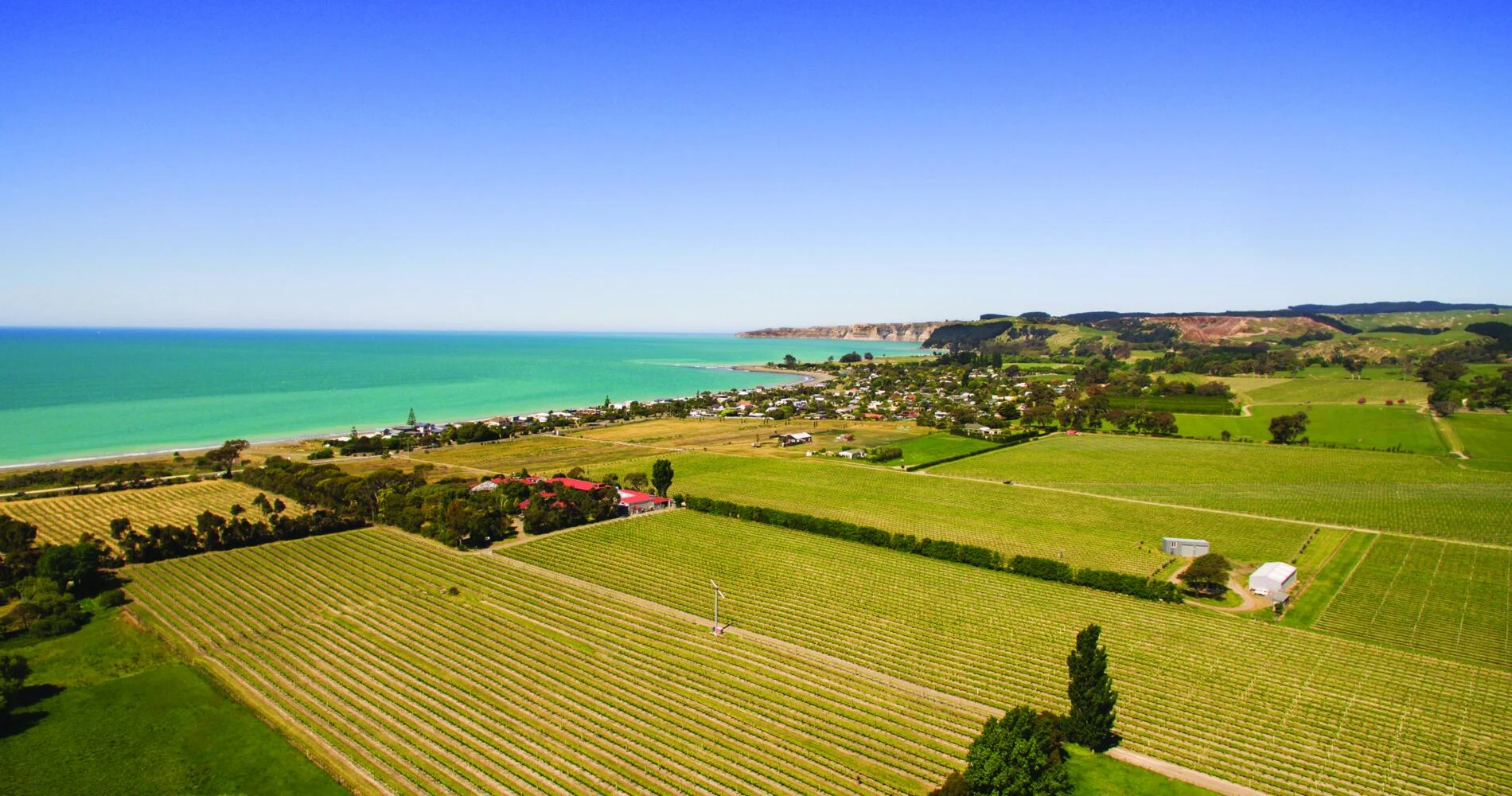 Clearview Estate Winery wedding venue, Te Awanga
