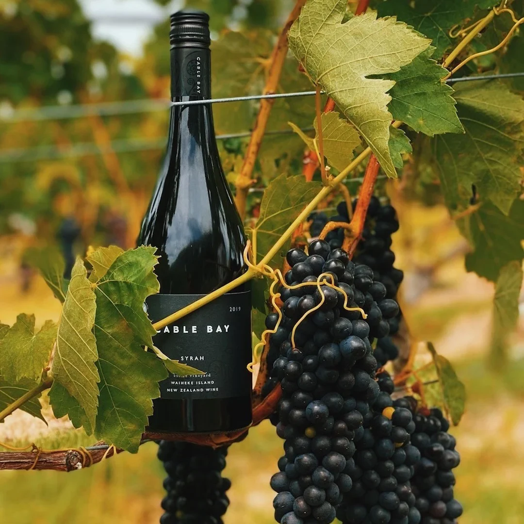 Cable Bay Vineyards wedding venue, Waiheke Island