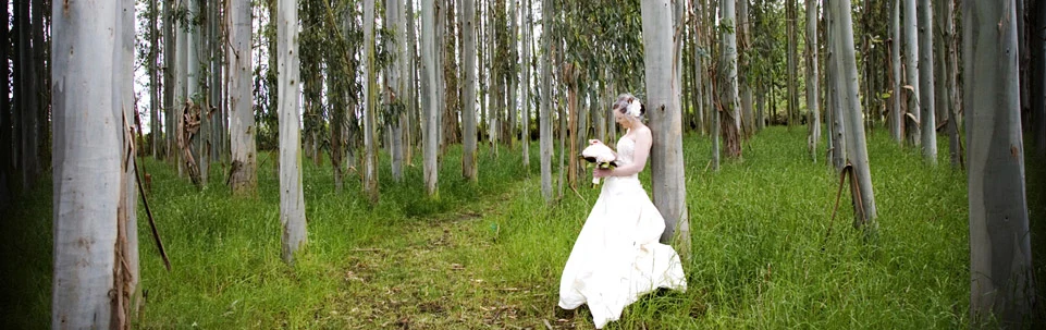 Rosemount Park Estate wedding venue, Canterbury