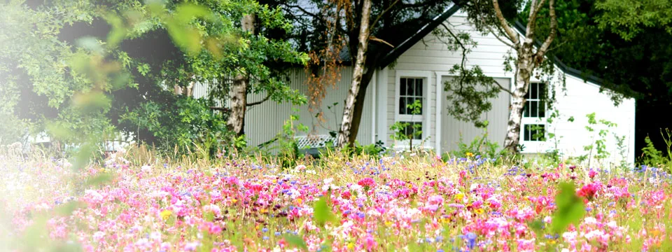 Lacewood wedding venue