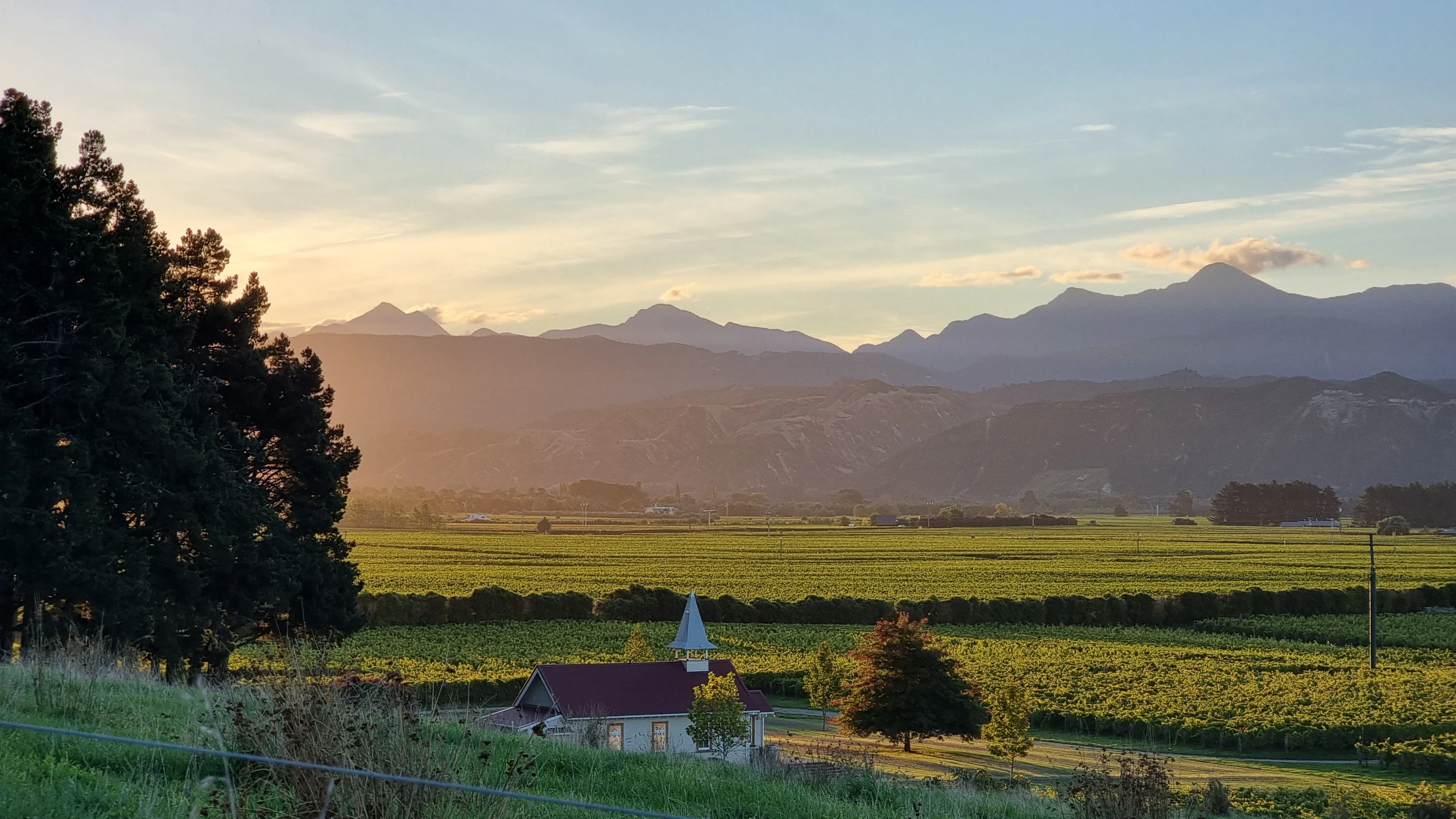Clos Henri Vineyard wedding venue, Marlborough