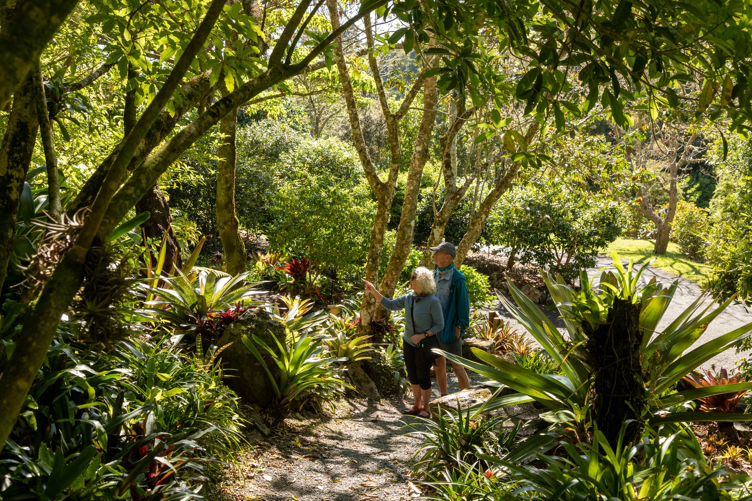 Whangārei Quarry Gardens wedding venue, Northland