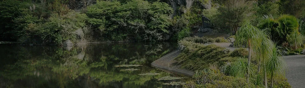 Whangārei Quarry Gardens wedding venue