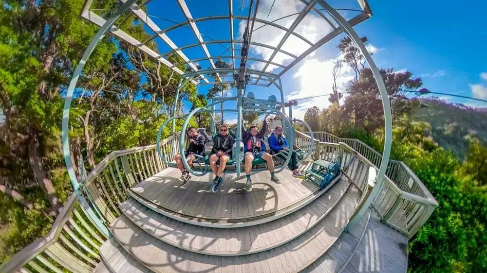 Cable Bay Adventure Park wedding venue