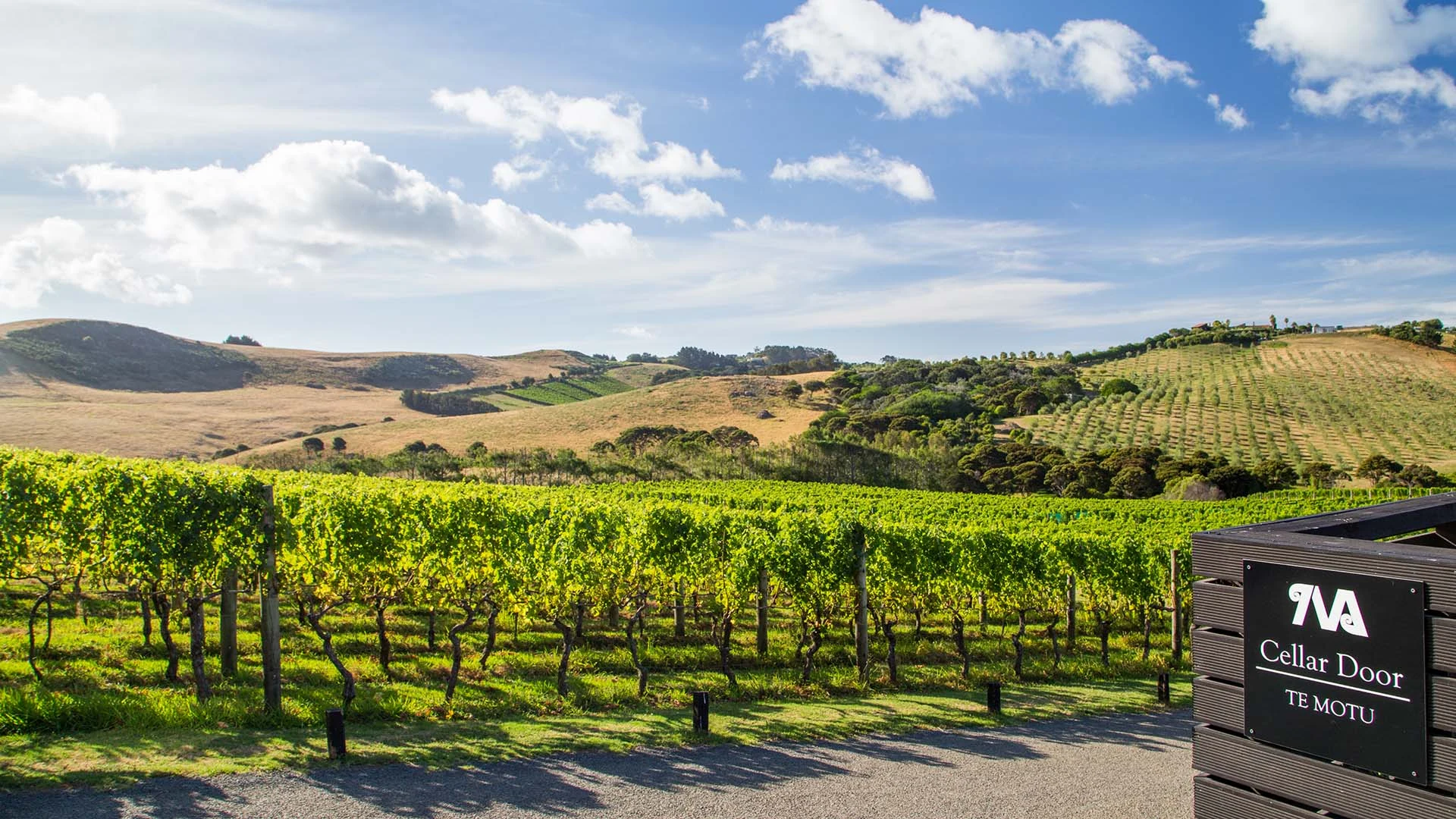Te Motu Vineyard wedding venue, Waiheke Island