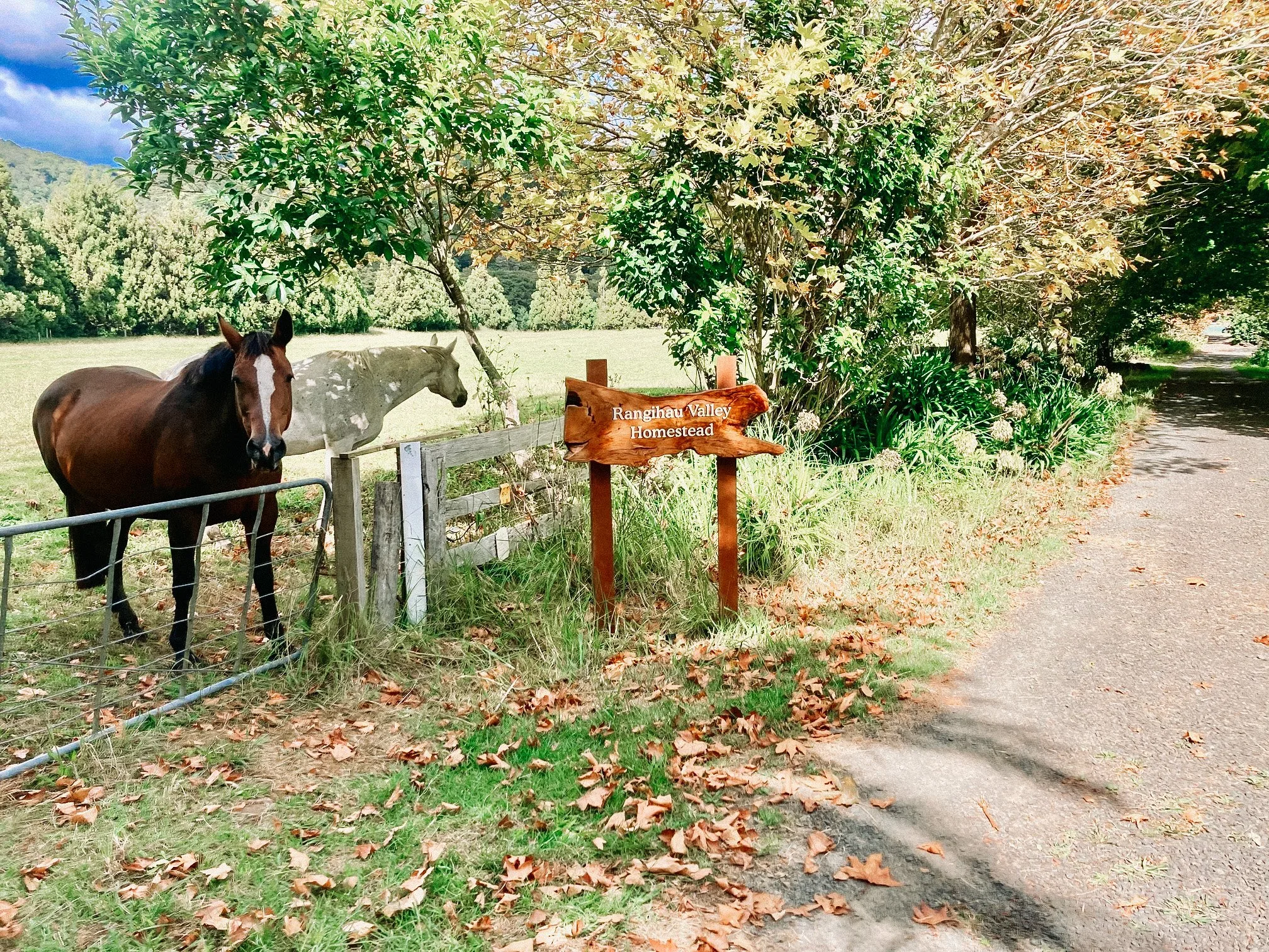 Rangihau Valley Homestead wedding venue